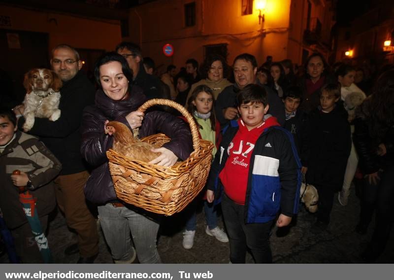 GALERÍA FOTOS - La provincia celebra Sant Antoni