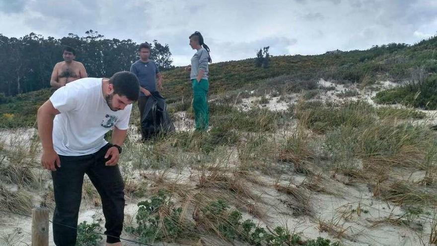 Los alumnos del CFEA de Lourizán, limpiando el complejo dunar de Melide, en Ons. // PNIA