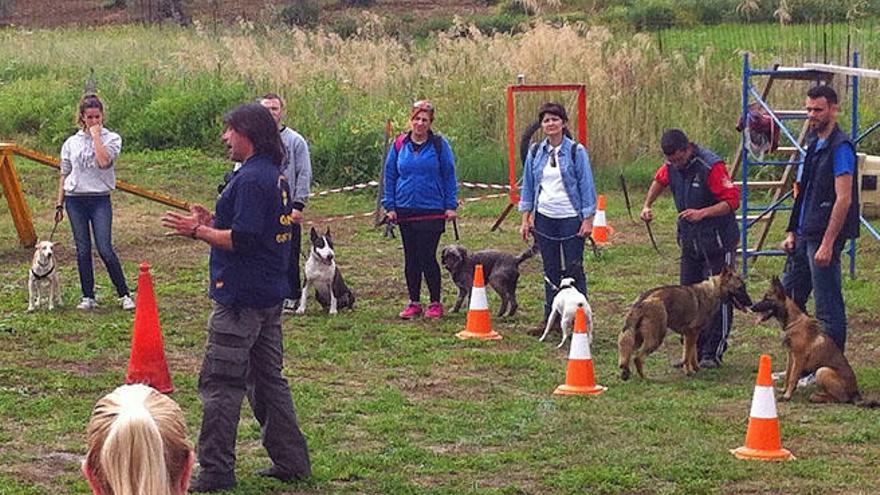 El evento está organizado por la Escuela Canina de Coín.