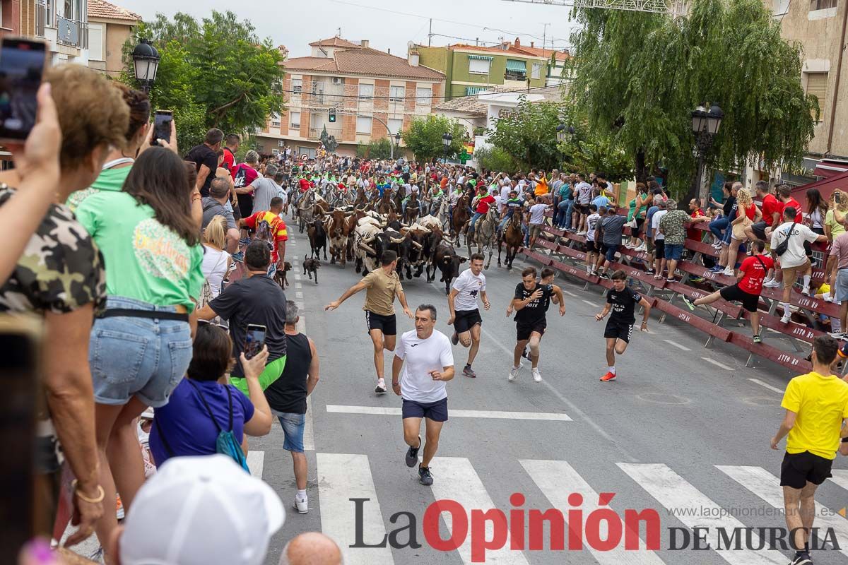 Cuarto encierro en las Fiestas de Moratalla