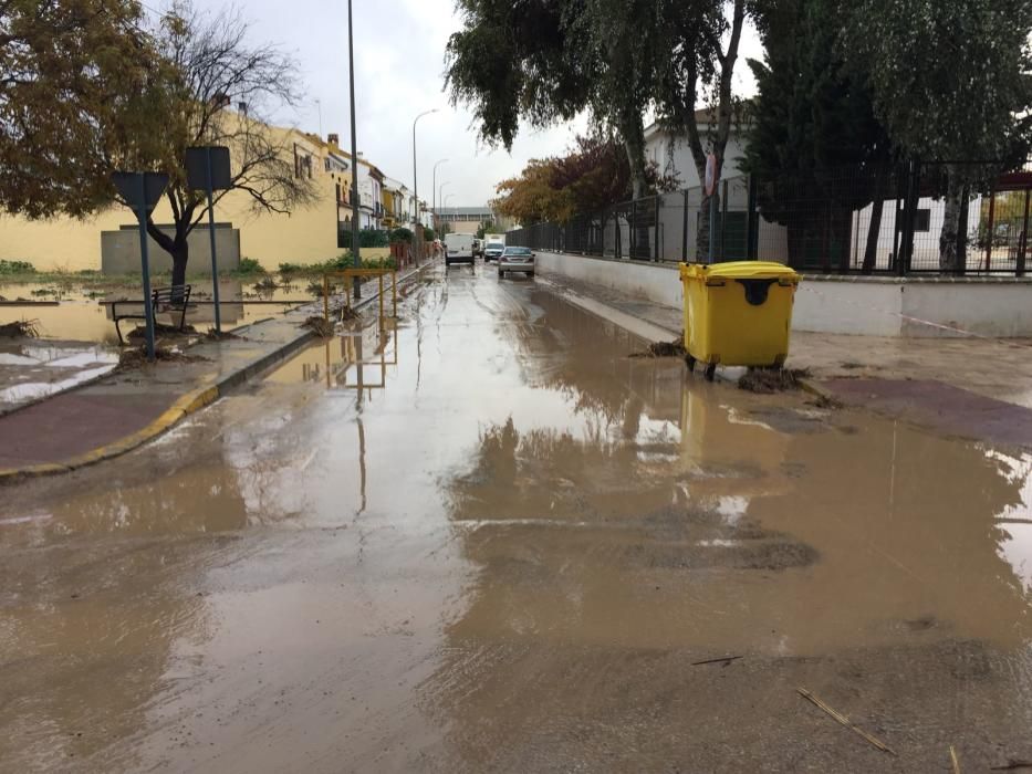 Efectos de la lluvia en Campillos