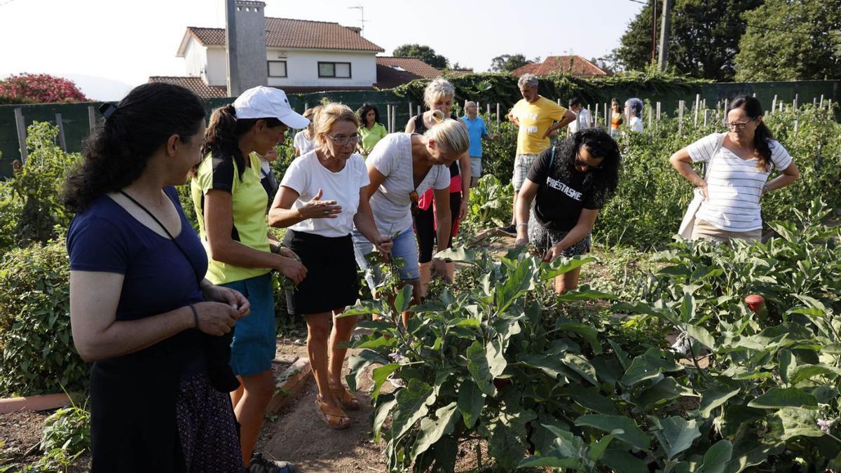 Participantes en la primera jornada de “Xoves na horta do Pousaouro” visitan los cultivos. |   // ALBA VILLAR