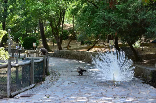 Fotogalería | Así está el parque de Los Pinos de Plasencia