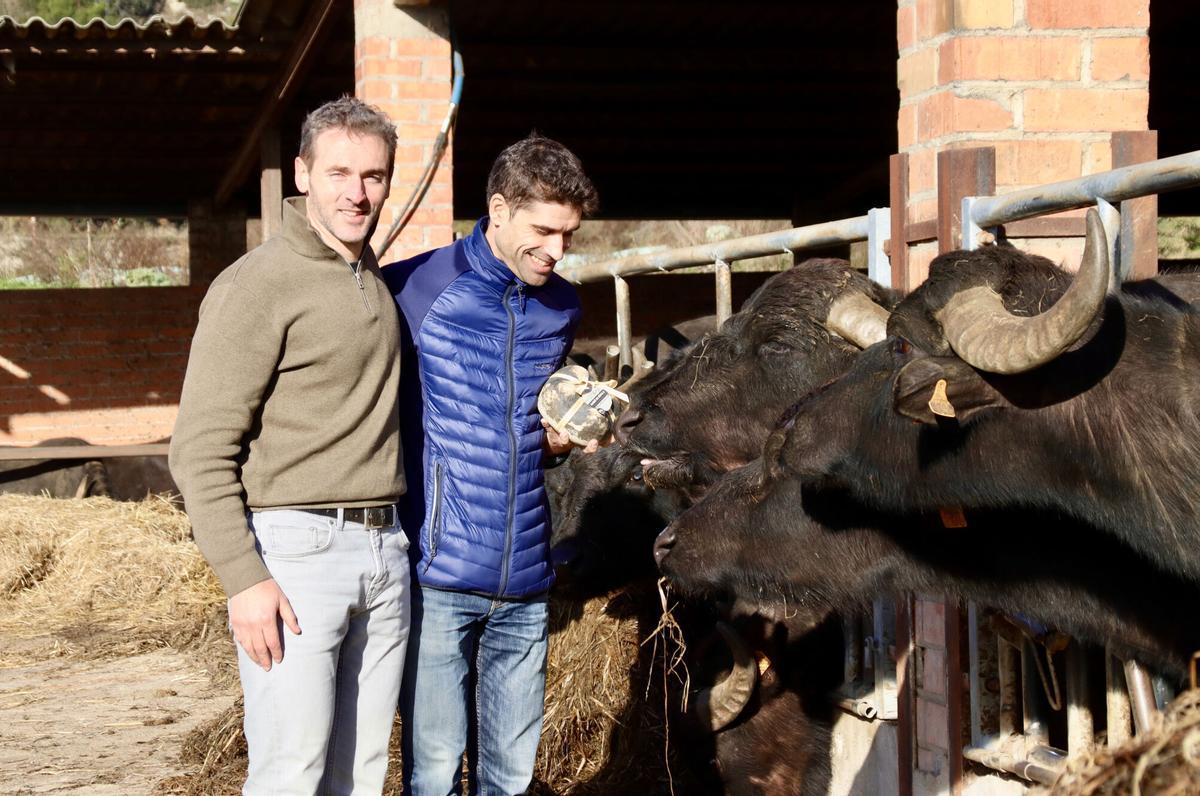 El formatger i el gerent de Montbrú, Oriol Antúnez i Martí Padrisa, a la granja de búfales de Santa Cecília de Voltregà que els proporciona llet