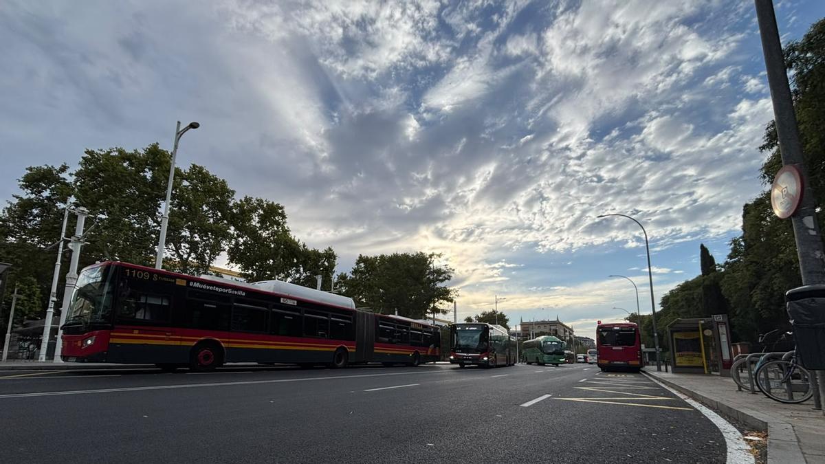 Vídeo | Así ha quedado la avenida Carlos V tras el reasfaltado