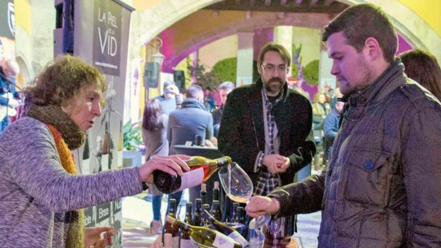 Siete cooperativas muestran sus vinos en València