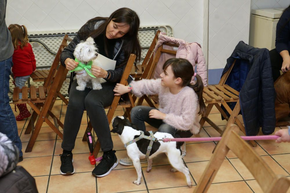 La primera falla canina de València