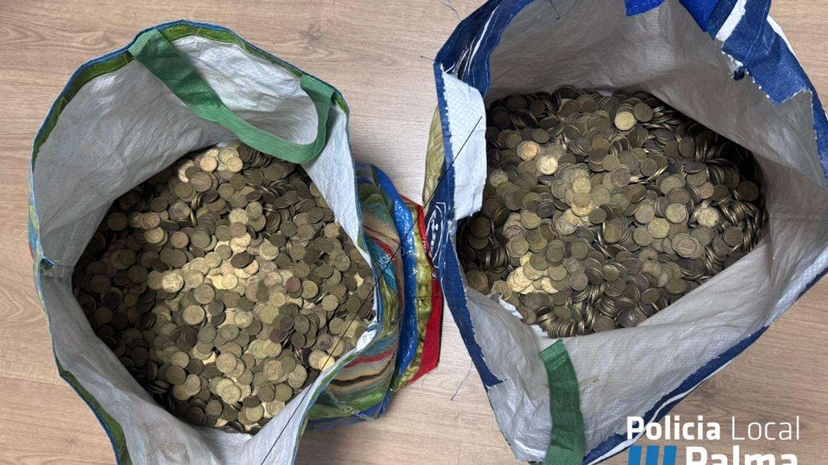 Bolsas con 4.000 euros en monedas robadas en un domicilio de Camp Redó.