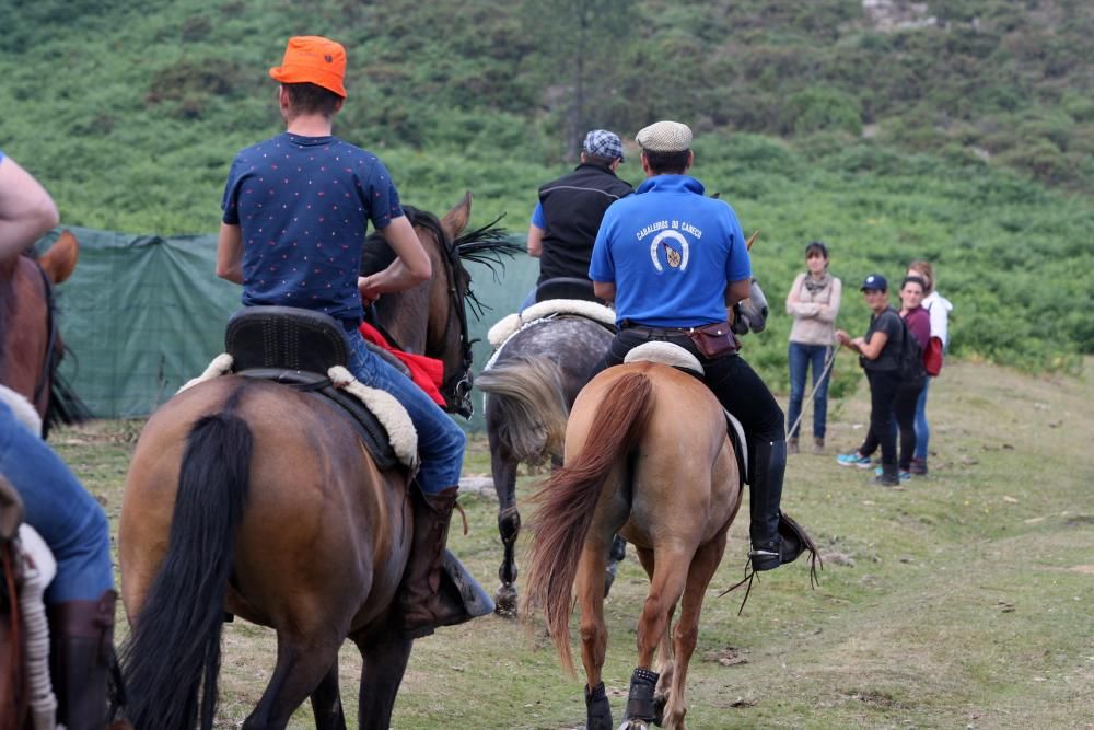 Rapa das Bestas de Sabucedo 2017