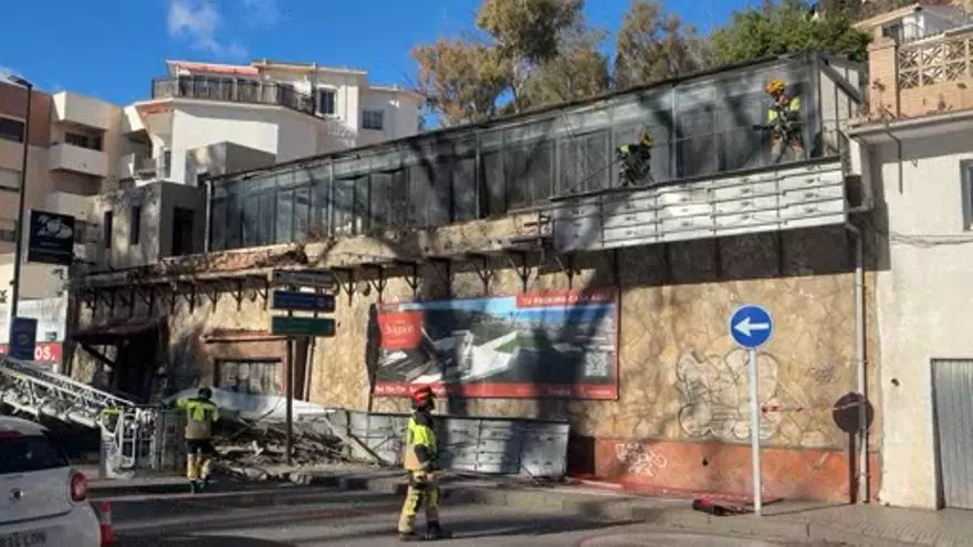 Un eucalipto cae frente a los Baños del Carmen