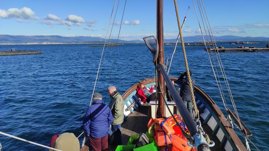 Arousa: verde y azul