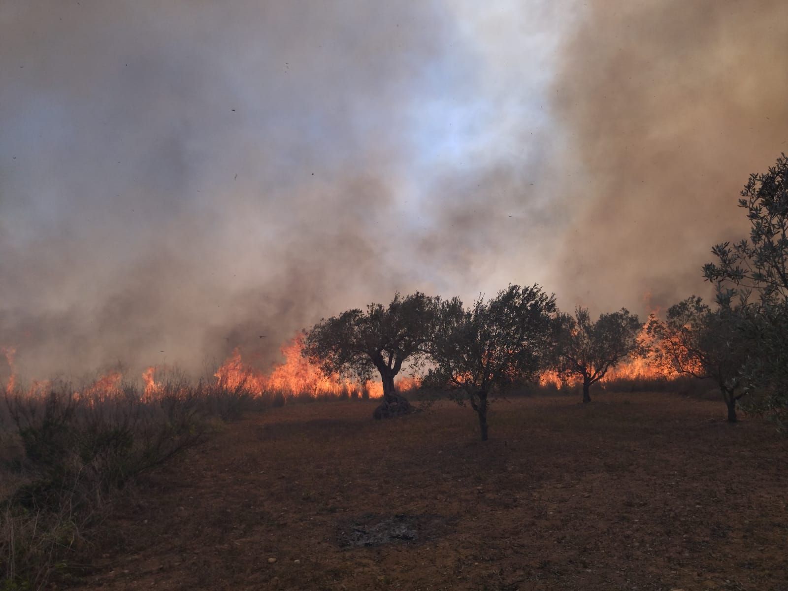 Declarado un incendio en el barranco de la Hiedra en Xàbia, cerca del Montgó