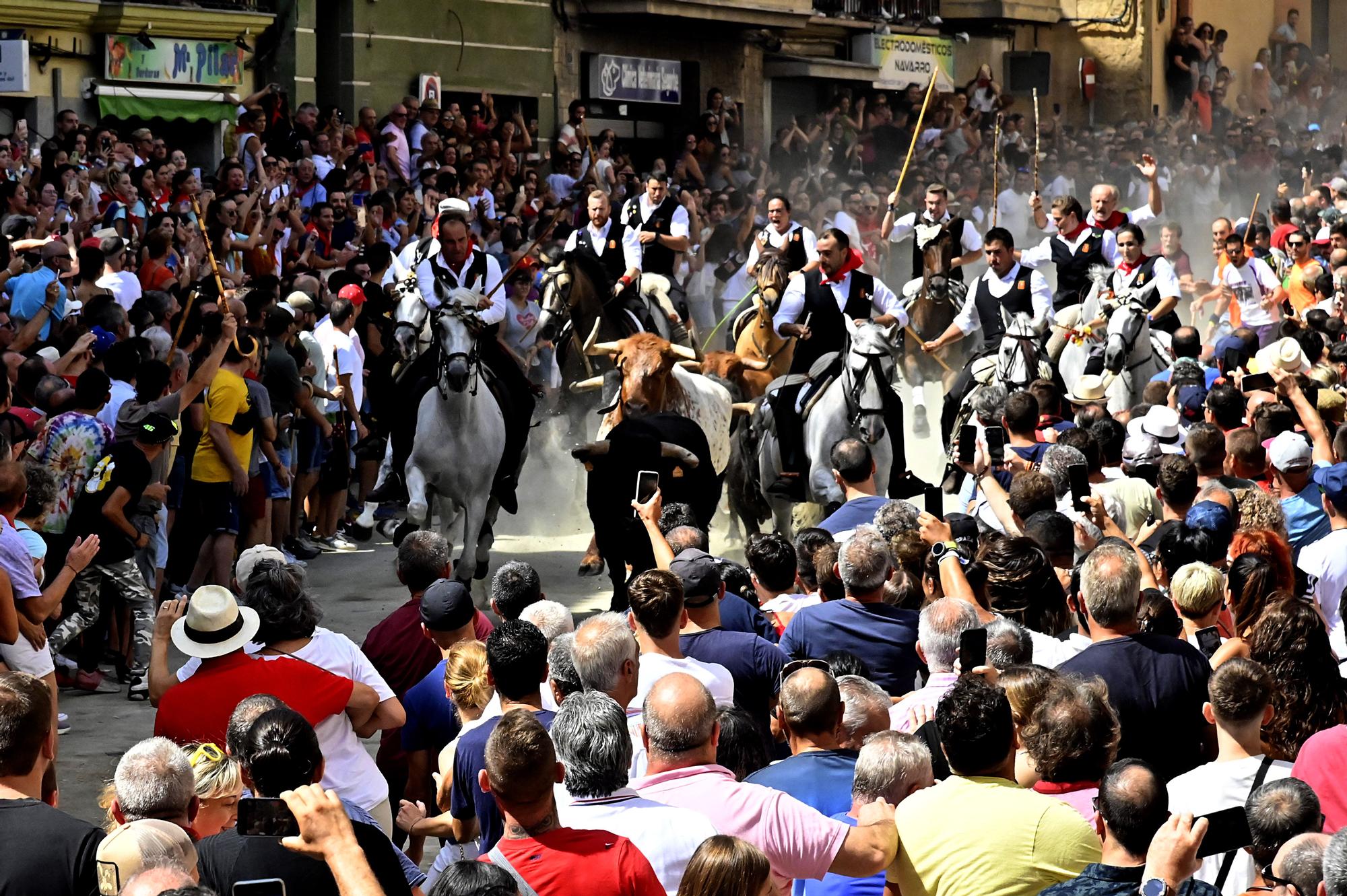 Las fotos de la última Entrada de Toros y Caballos de Segorbe