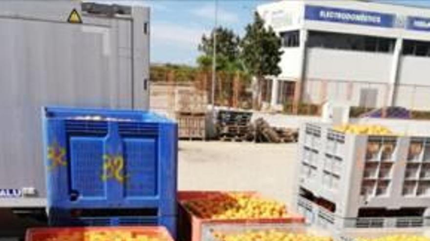 144 investigados y 14 detenidos por el robo de 350.000 kilos de naranjas