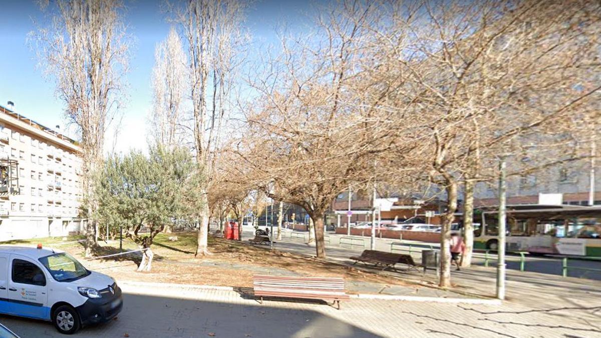 Un jutge condemna l’Ajuntament de Sabadell a indemnitzar una dona aixafada per un arbre