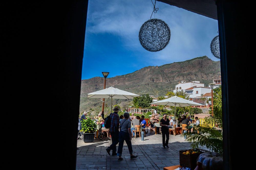 AMBIENTE TURISTAS EN TEJEDA