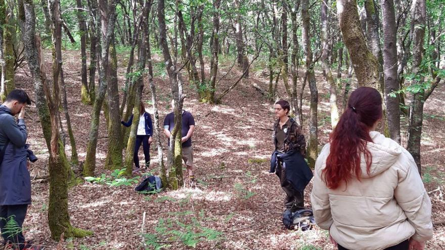 Ruta medioambiental por las fragas de Catasós con un “baño de bosque” incluido