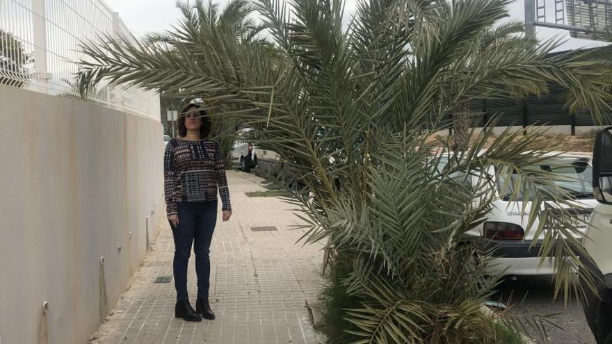 La portavoz de Ciudadanos, con una palmera sin podar