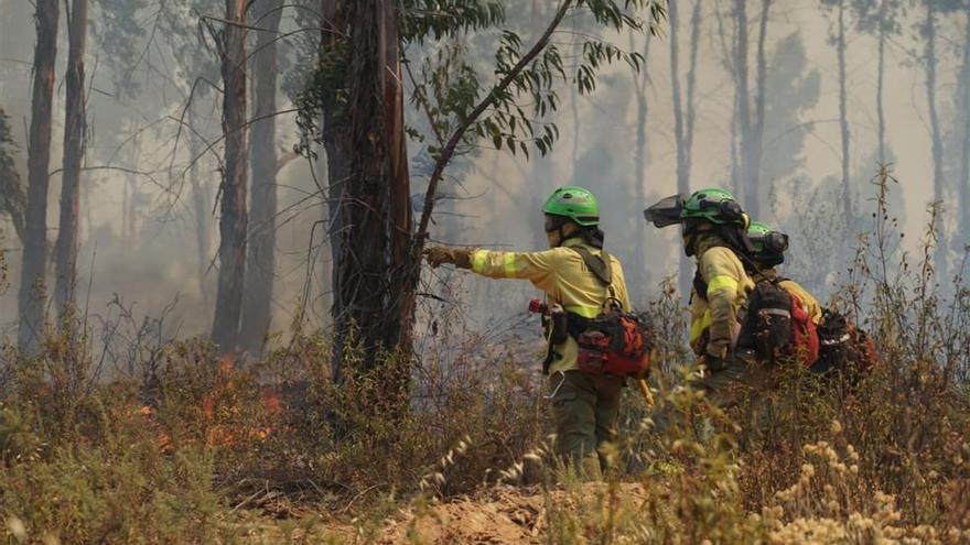 El PSOE pide explicaciones por el incendio de Almonaster