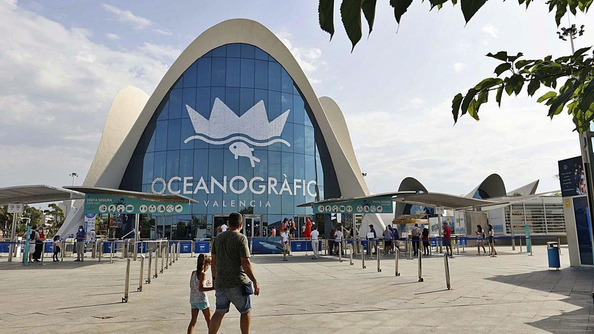 Una imagen de archivo de la entrada del Oceanogràfic del pasado verano. | LEVANTE-EMV