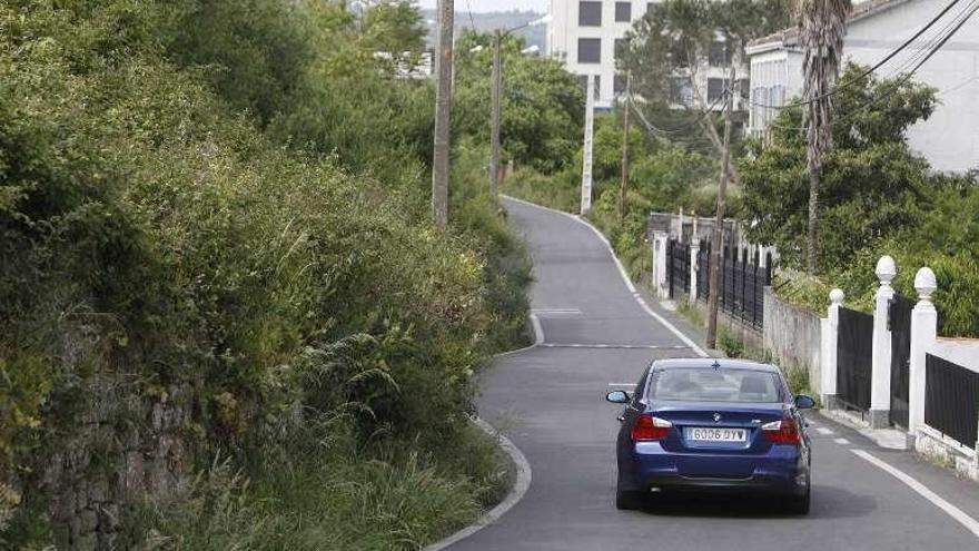 La maleza se acerca al vial de una de las zonas de la ciudad. // Jesús Regal