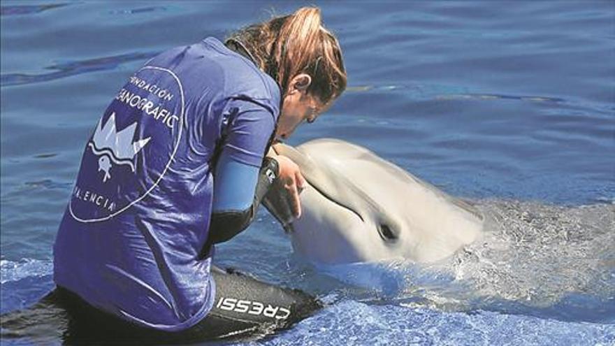 El Oceanogràfic insta a proteger los océanos dañados por el hombre