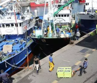 La rula de Gijón supera ya las ventas de todo el año 2023: este pescado es el causante de que casi se bata un récord