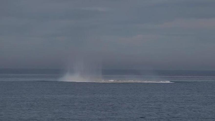 Las playas de Dénia son la bomba: un explosivo eslogan turístico para Fitur