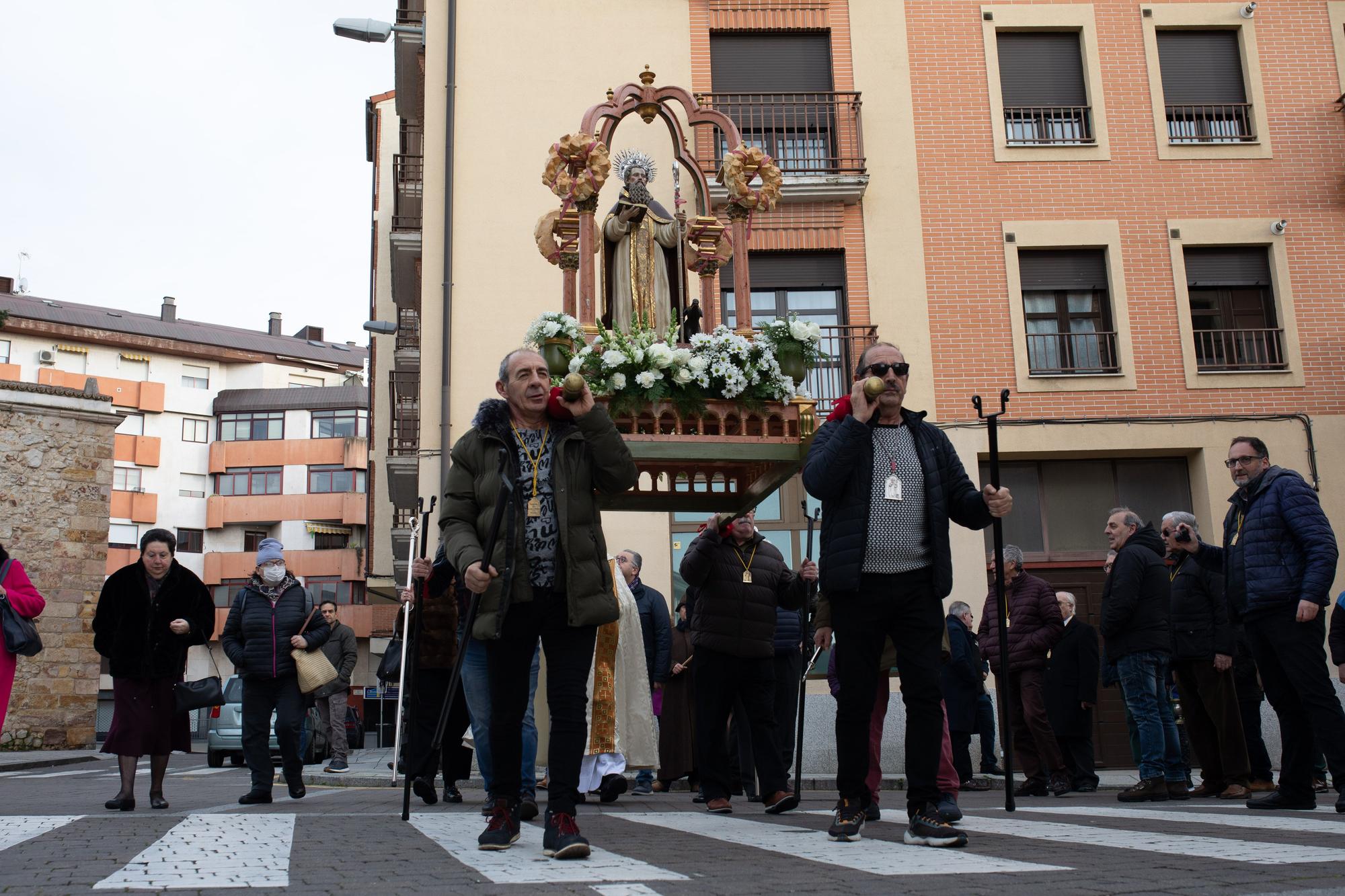 Los animales reciben la bendición por San Antón en Zamora
