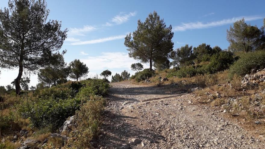 Strecken, Ausrüstung, Fitness: So klappt Trailrunning auf Mallorca für Anfänger