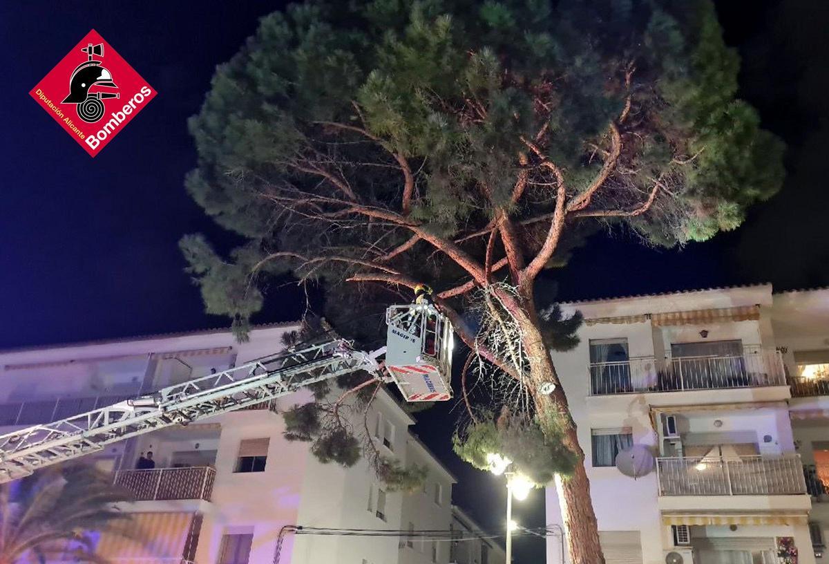 Bomberos de la Diputación de Alicante anoche durante una intervención por el aire.