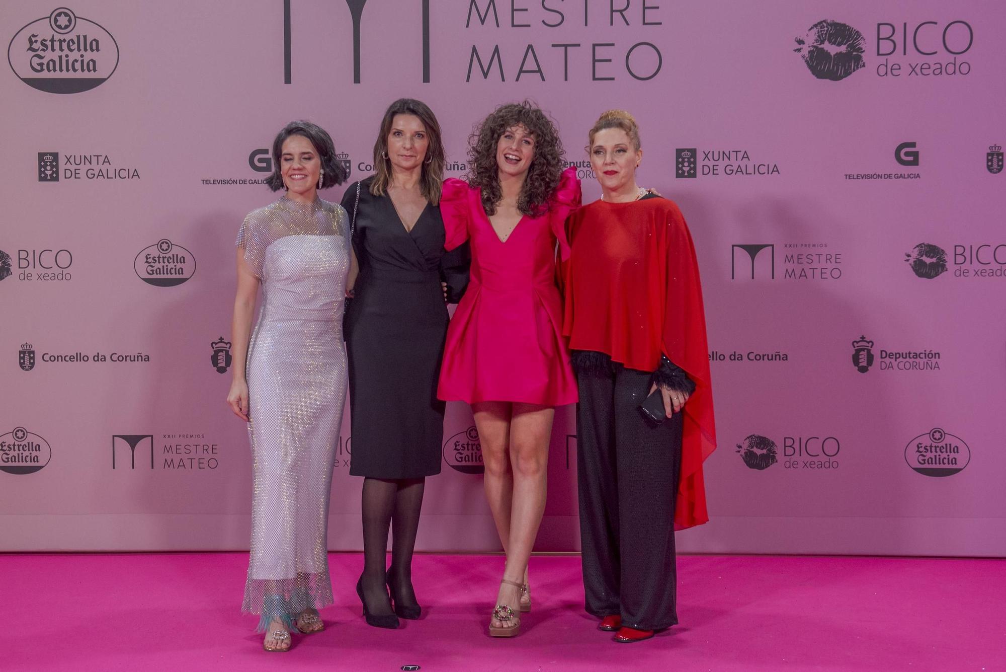 Gala dos premios Mestre Mateo 2024