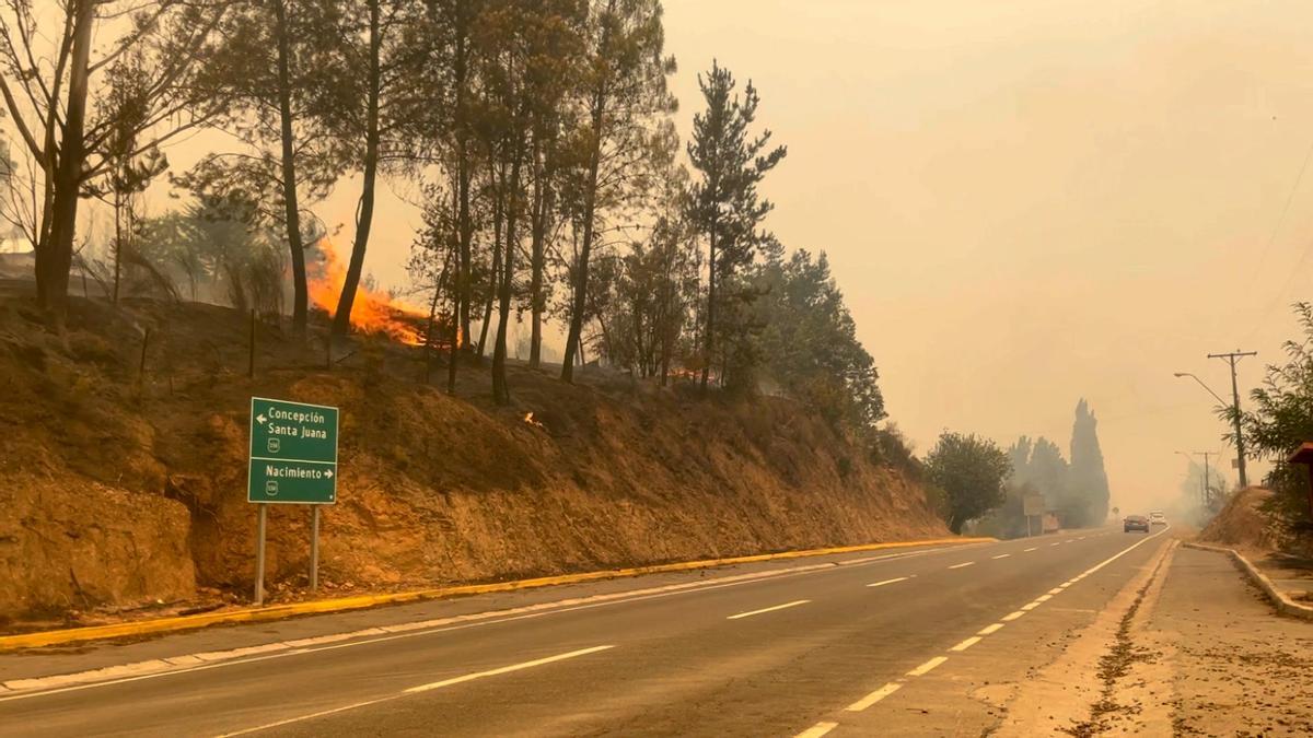 Los incendios que arrasan Chile dejan ya más de 20 muertos