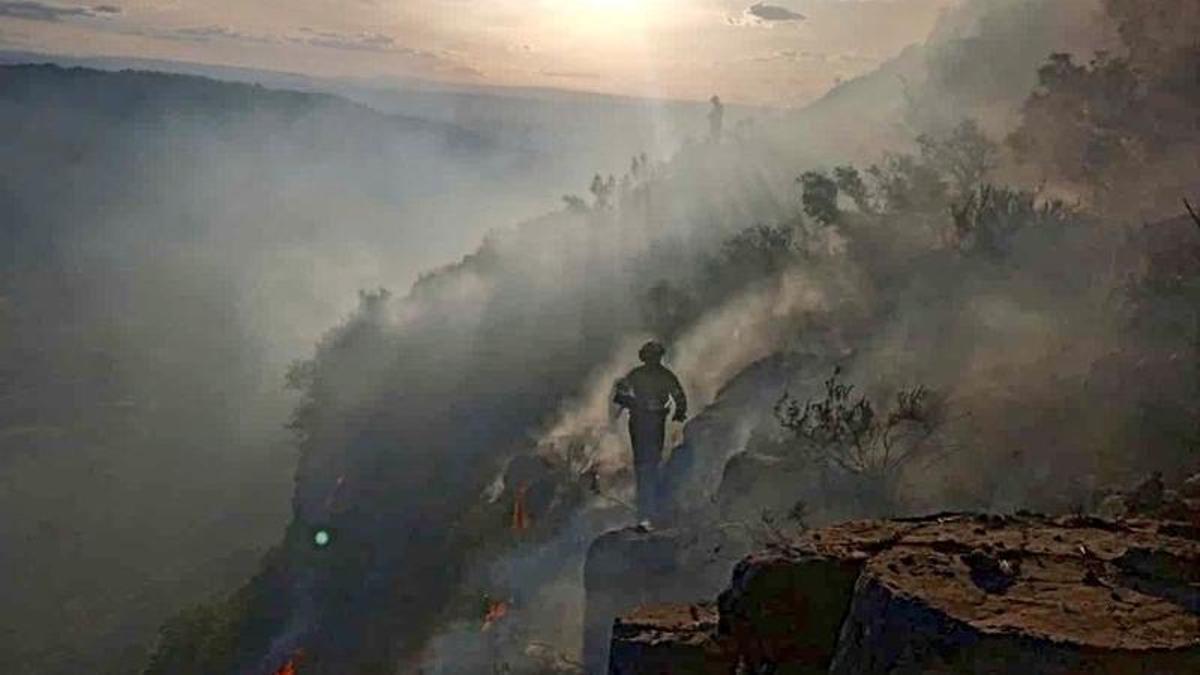 Bomberos y brigadas forestales combaten por tierra el incendio en la madrugada del sábado.