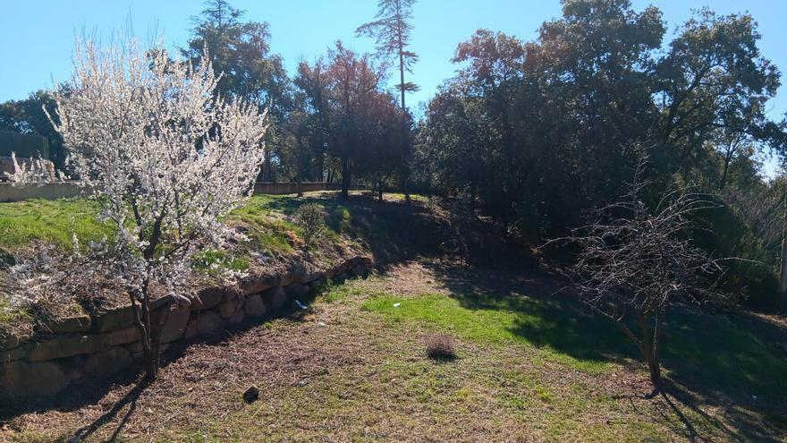 Puig-reig vol aprofitar l’aigua que un saurí diu que ha trobat al subsol