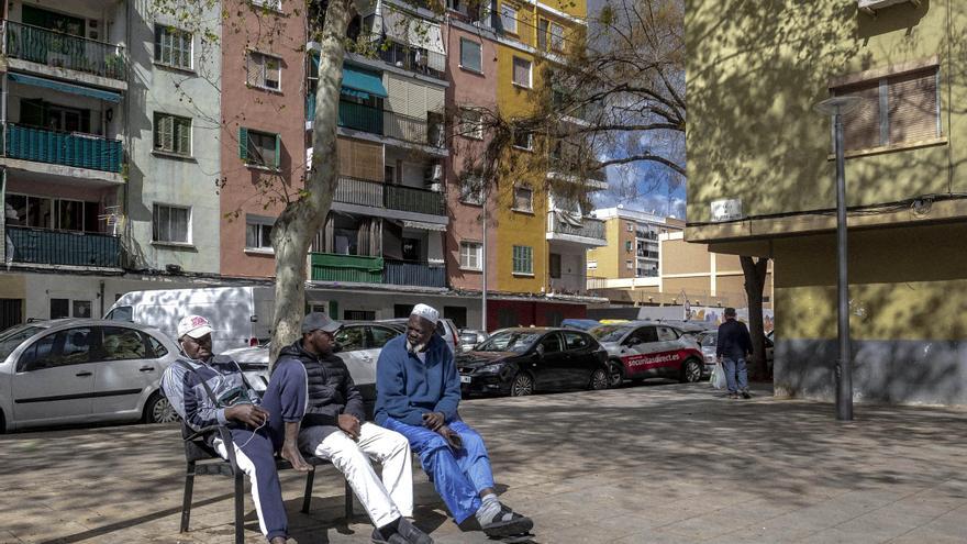 Vox Palma urge al equipo de gobierno a que ejecute ya diversas iniciativas aprobadas en el pleno