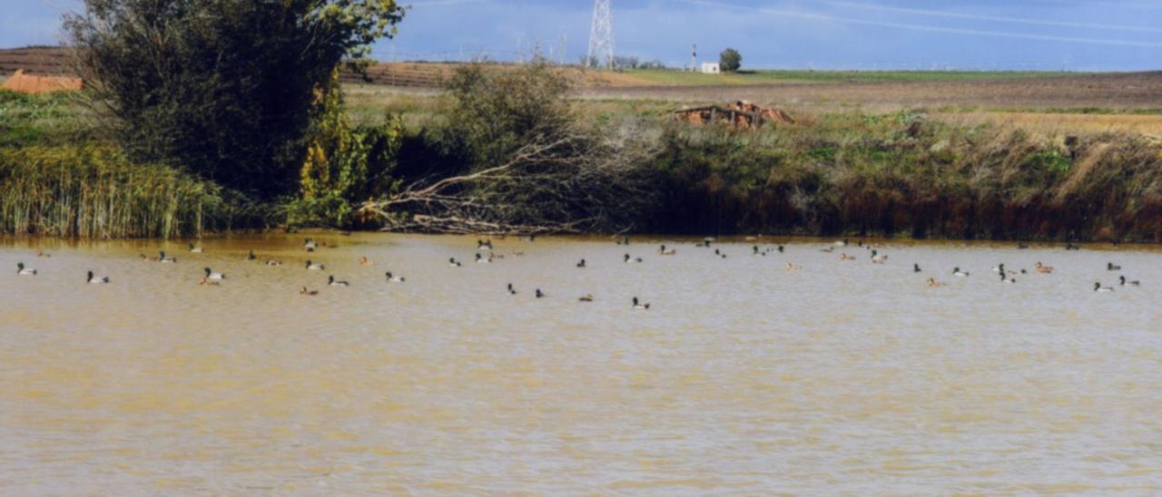 Laguna Redonda, en Cotanes del Monte.