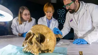 ‘CSI’ Santiago y el cráneo milenario de ‘Una vida vikinga'