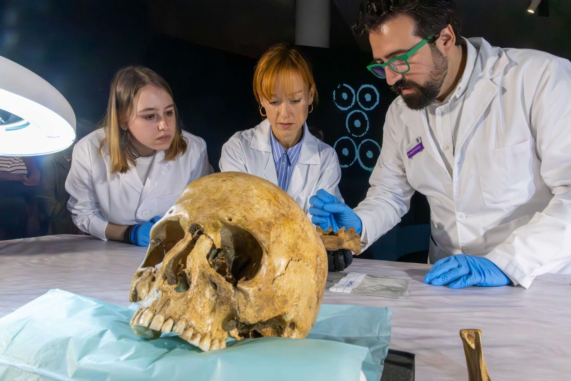 Recontruyendo una vida vikinga