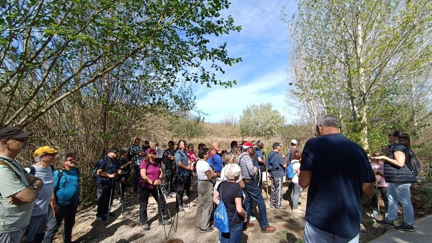 Riba-roja recibirá en abril a un millar de turistas del Imserso