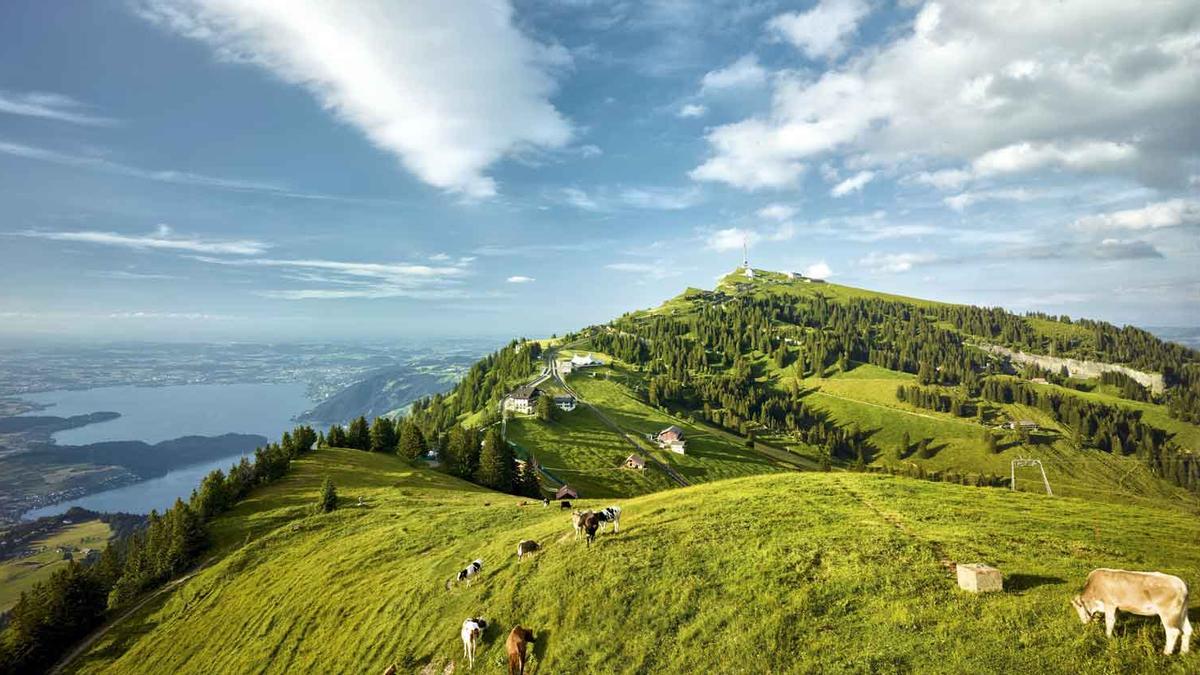 Los bellos prados del Monte Rigi