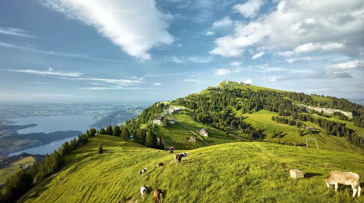 Los bellos prados del Monte Rigi