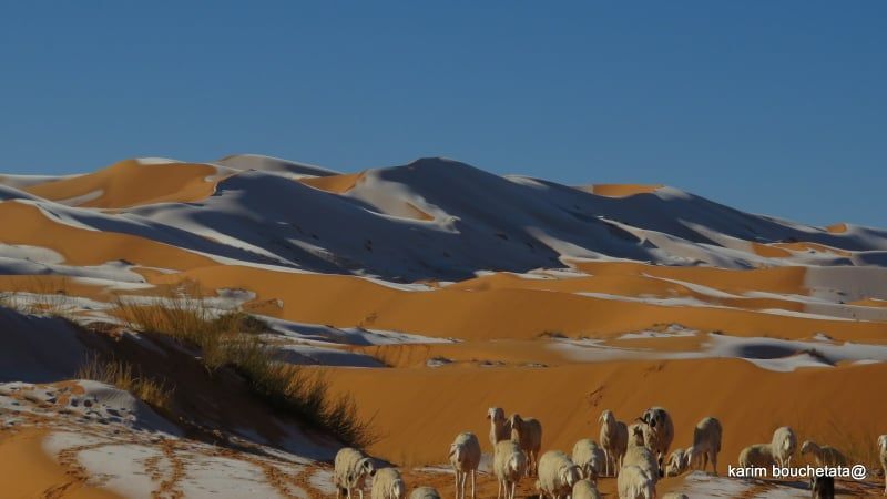 El Sáhara amanece con nieve