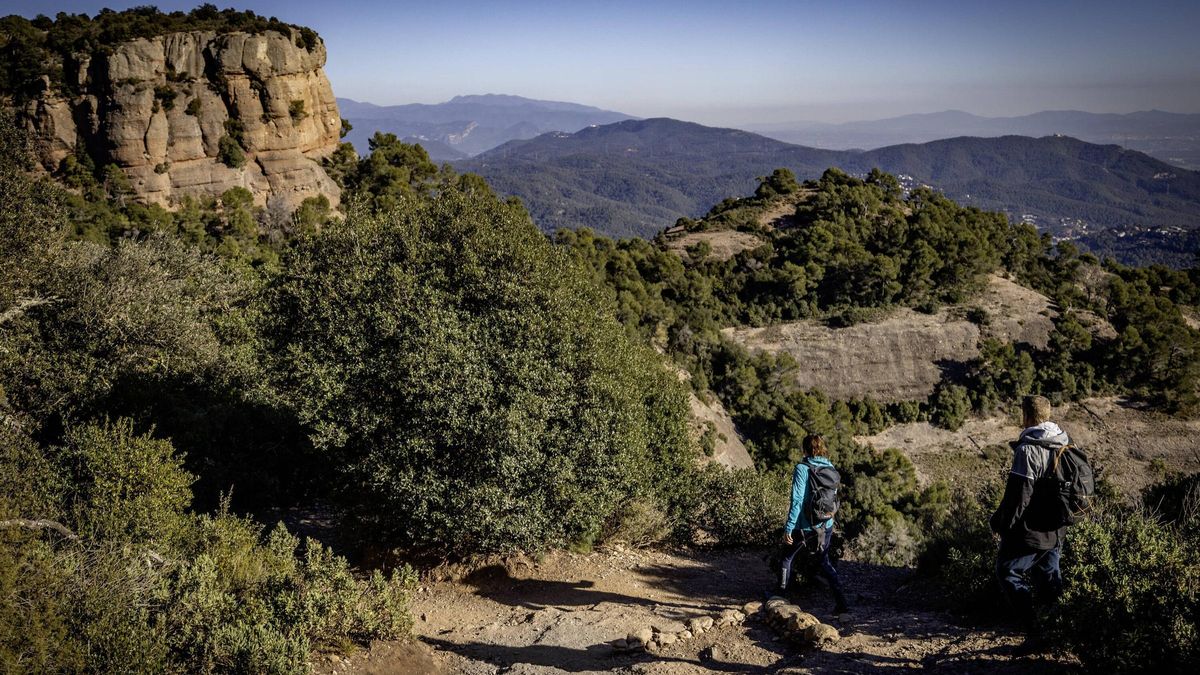 La ampliación del parque natural de Sant Llorenç propiciará un corredor ecológico hasta Montserrat