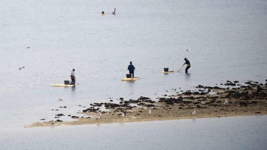 Mariscadores furtivos faenan en la ría de O Burgo a finales del pasado mes de diciembre.