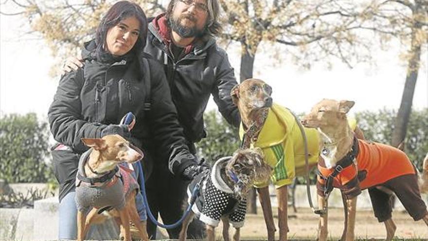 Una vida (llena) de perros