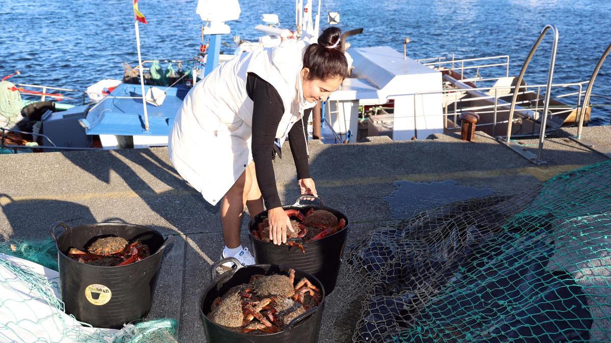 Descarga de centollo en O Grove, la temporada pasada.