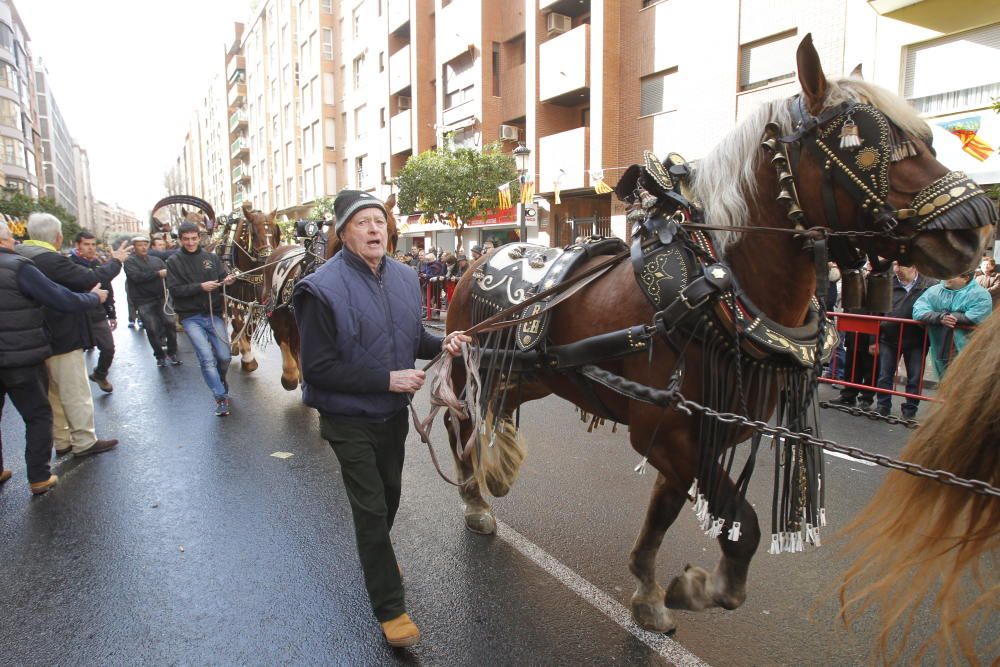 Sant Antoni en Valencia 2017