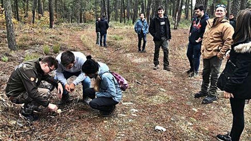 Aprender en la naturaleza. Distintos momentos de las clases recibidas por alumnos del Instituto Alfonso IX de Zamora con agentes medioambientales y resineros en los montes alistanos