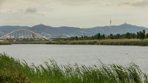 Regeneració de l’aigua per frenar l’emergència hídrica